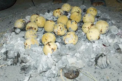 Chleba v pahrebe z ťavých ho... :) (Pushkar)