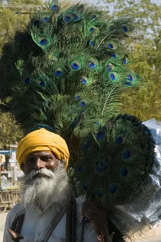 Pávy muž (Jaisalmer)