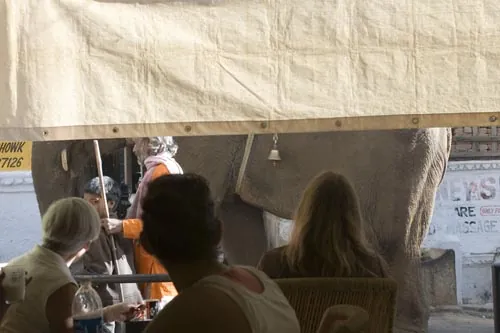 Slon sa prechádza pred kaviarňou... (Udaipur)