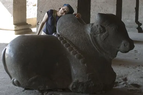 "Prvá krava, ktorej sa nemusím báť" povedala Stanka  (Ellora)