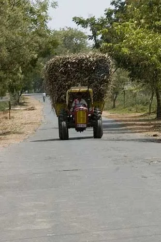 Náklad cukrovej trstiny... (Hampi)