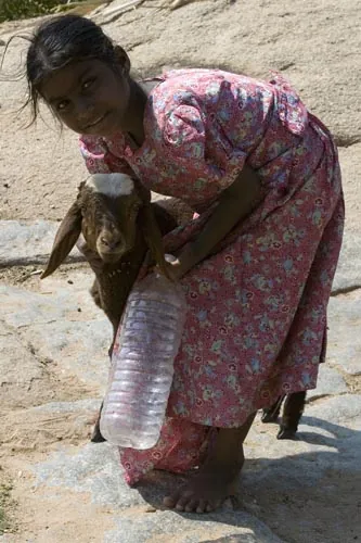 Malá pastierka (Hampi)