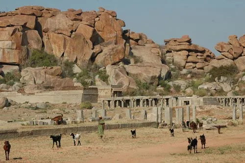 Spásanie kameňov... (Hampi)