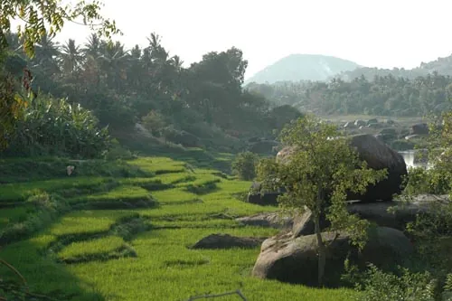 Ryžové políčka (Hampi)