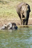 Fotografia z cesty – 23. Kumily a Periyar