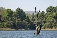 Fotografia z cesty – 23. Kumily a Periyar