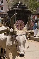 Fotografia z cesty – 26. Madurai